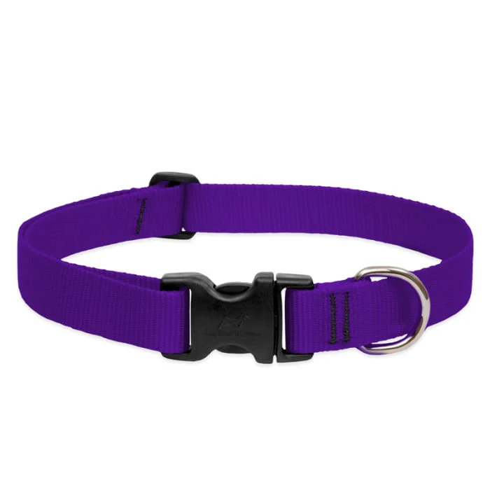 Lupine Pet Dog 1 In Wide 12-20 In Adjustable Collar Basics Purple - Image 1