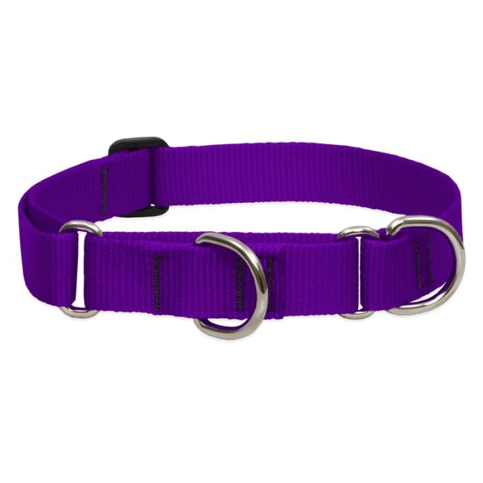 Lupine Pet Dog 1 In Wide 19-27 In Martingale Collar Basic Purple - Image 1