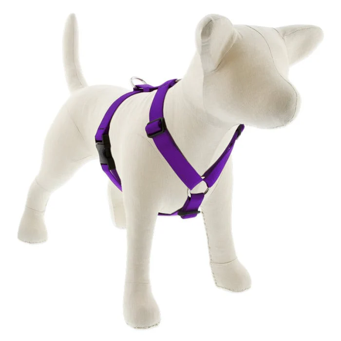Lupine Pet Dog 1 In 20-32 In Roman Harness Basics Purple - Image 1