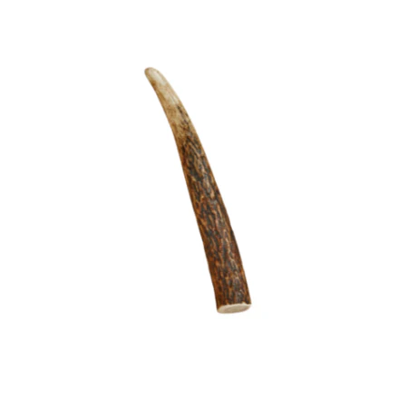 Canophera Dog Chew Red Deer Antler Small - Image 1