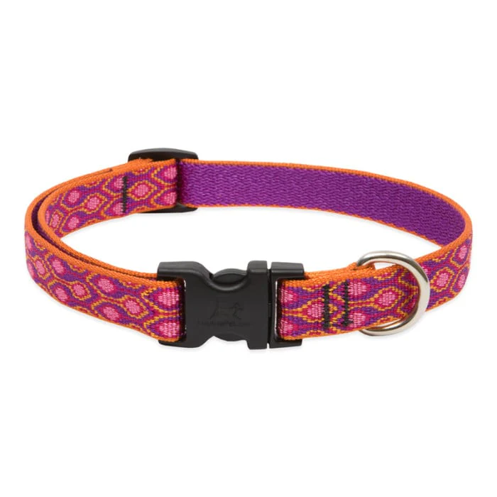Lupine Pet Dog 2/4 In Wide 9-14 In Adjustable Collar Original Designs Alpen Glow - Image 1
