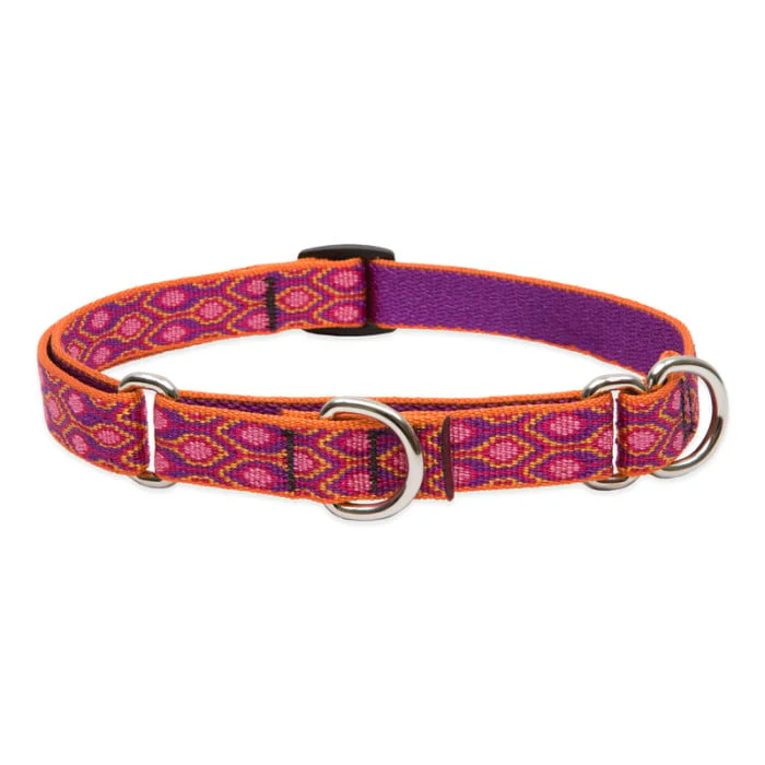 Lupine Pet Dog 3/4 In Wide 14-20 In Martingale Collar Original Designs Alpen Glow - Image 1