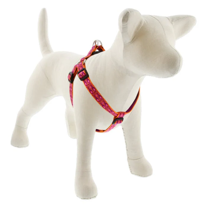 Lupine Pet Dog 3/4 In Wide 15-21 In Step  In Harness Original Designs Alpen Glow - Image 1