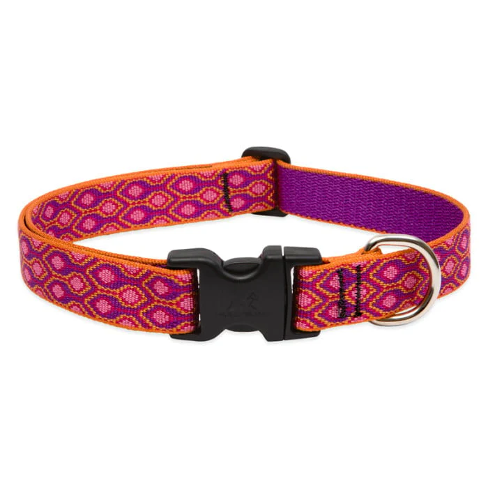 Lupine Pet Dog 1 In Wide 16-28 In Adjustable Collar Original Designs Alpen Glow - Image 1
