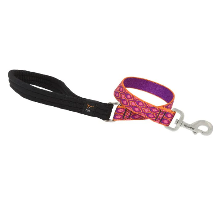 Lupine Pet Dog 2 Ft Long 1 In Leash Original Designs Alpen Glow - Image 1