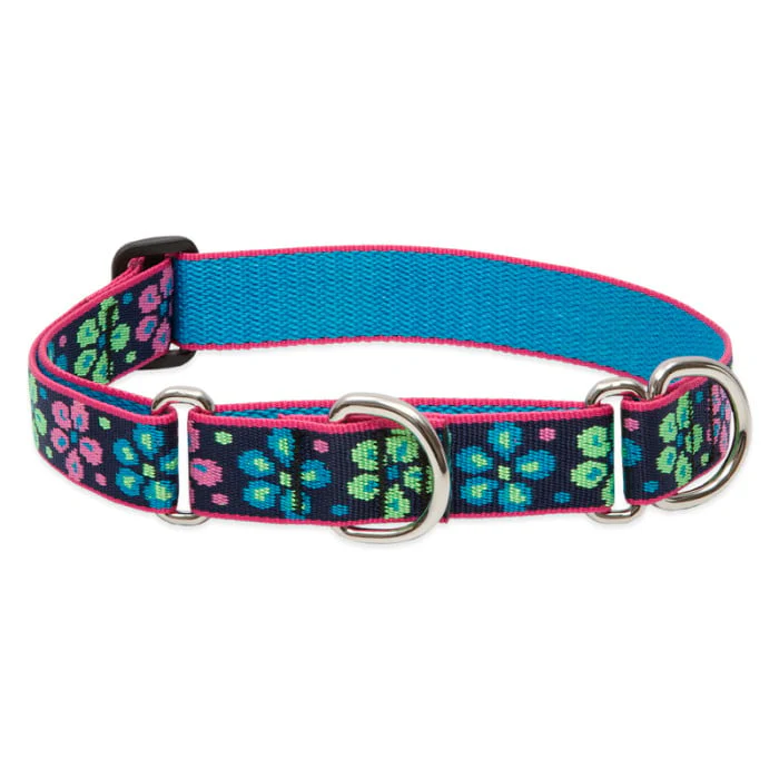 Lupine Pet Dog 1 In Wide 19-27 In Martingale Collar Original Designs Flower Power - Image 1