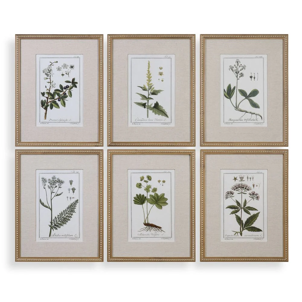 Garden Botanicals - Image 3