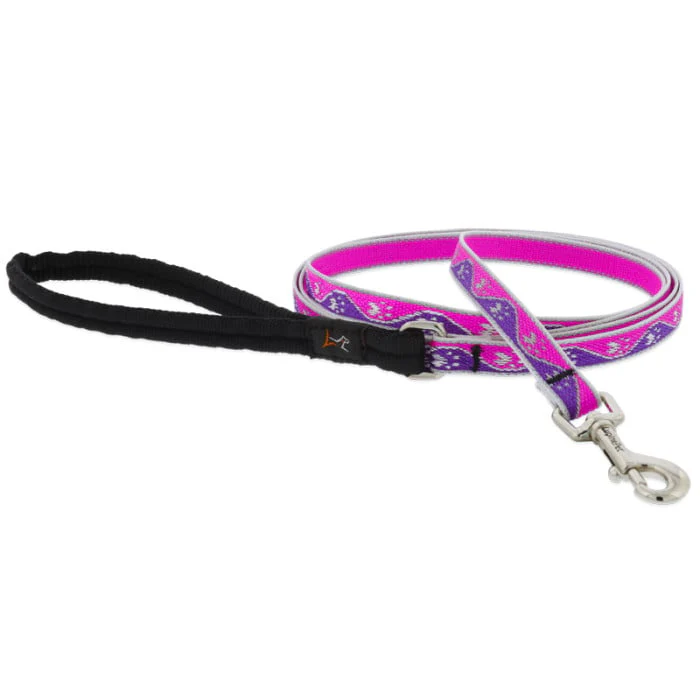 Lupine Pet Dog 6 Ft Long 3/4 In Leash Reflective Highlights Pink Paws - Image 1
