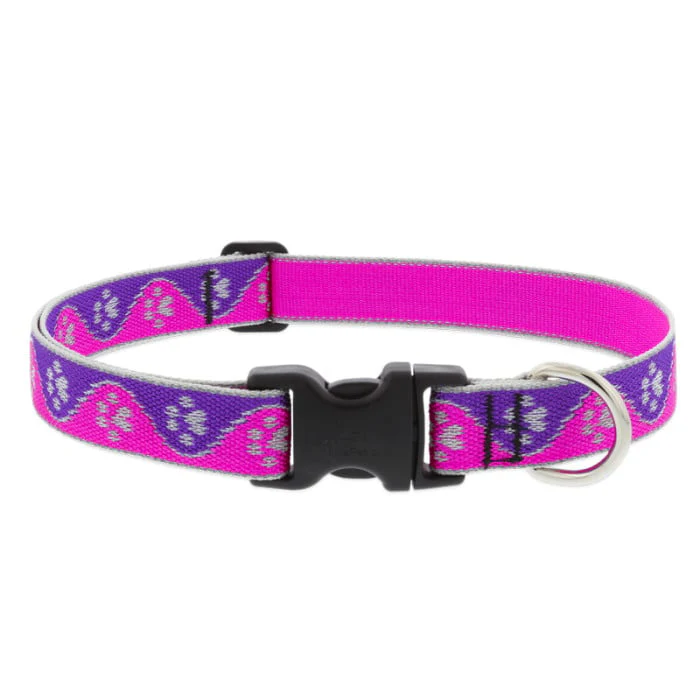 Lupine Pet Dog 1 In Wide 12-20 In Adjustable Collar Reflective Highlights Pink Paws - Image 1