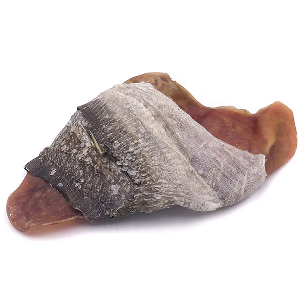 Icelandic+ Dog Cod Skin Wrapped Pig Ear - Image 1