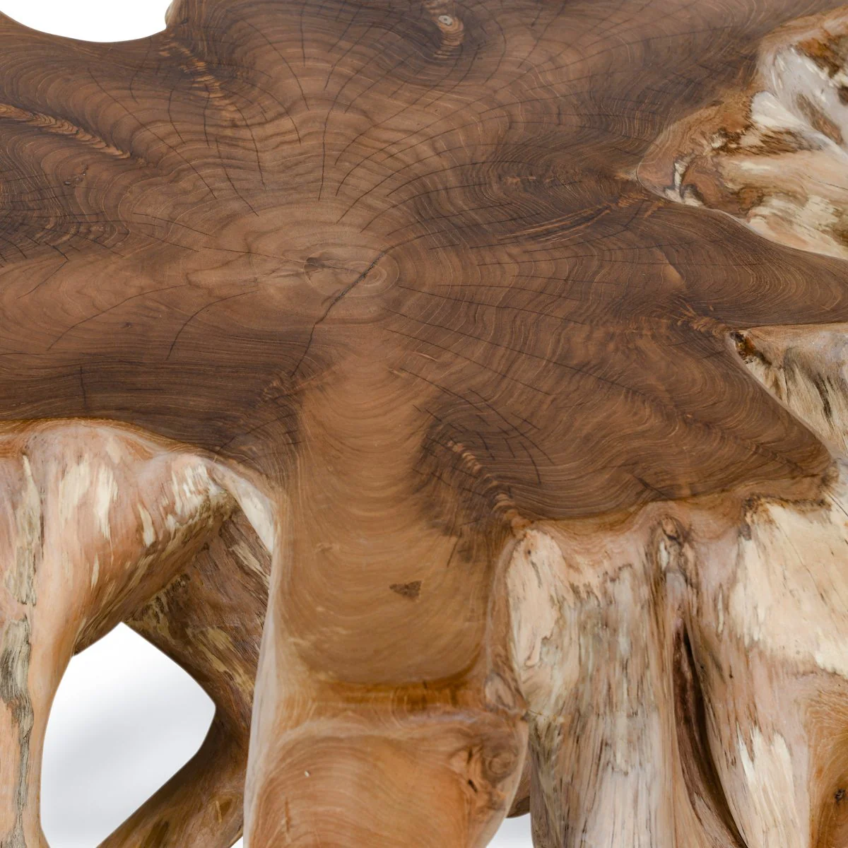 51005386 Classic Homes Cypress Root Coffee Table Natural - Image 3