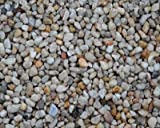 Estes Spectrastone Pebble Aquarium Gravel Ocean Beach Pebble - Image 1
