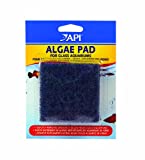 API® Algae Pad for Glass Aquariums 1 Pad - Image 1
