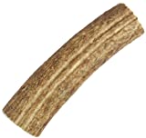 Happy Dog of Cape Cod Sliced Elk Antler Dog Chew Medium - Image 1