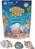 Florida Marine Research Hermit Crab Shell Medium 3pk - Image 1