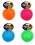 Petsport Gorilla Ball Dog Toy  Large  Multicolor - Image 1