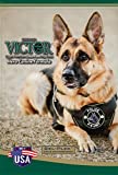 Victor Grain-Free Hero Dry Dog Food  30 lb - Image 1