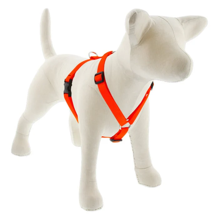 Lupine Pet Dog 3/4 In In Wide 14-24 In Roman Harness Basics Blaze Orange - Image 1