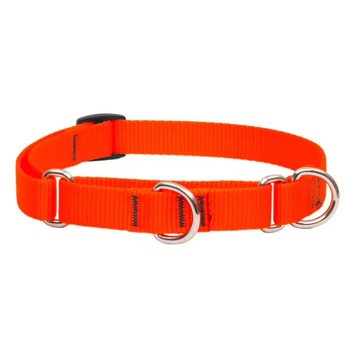 Lupine Pet Dog 3/4 In Wide 14-20 In Martingale Collar Basic Blaze Orange - Image 1