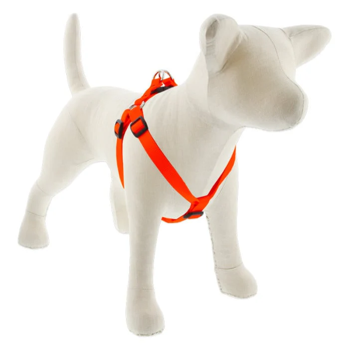 Lupine Pet Dog 3/4 In Wide 20-30 In Step  In Harness Basics Blaze Orange - Image 1