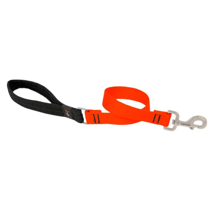 Lupine Pet Dog 2 Ft Long 1 In Leash Basics Blaze Blaze Orange - Image 1