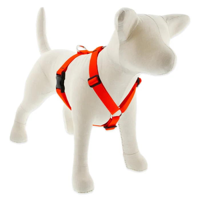 Lupine Pet Dog 1 In Wide 24-38 In Roman Harness Basics Blaze Orange - Image 1