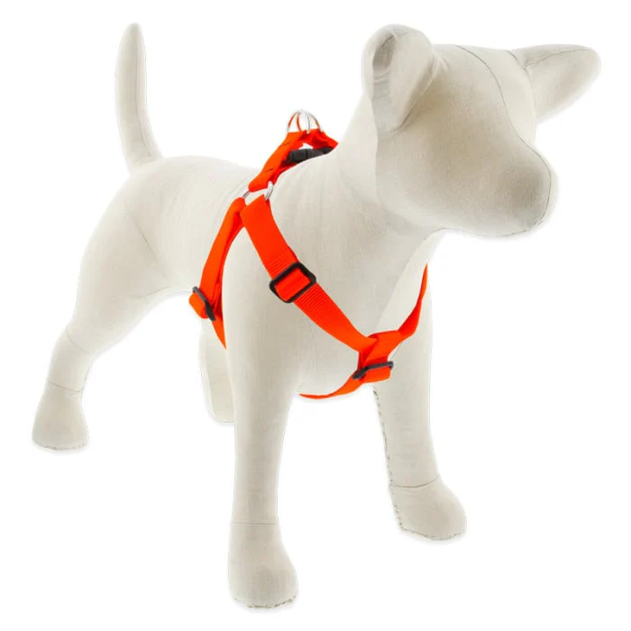 Lupine Pet Dog 1 In Wide 19-28 In Step  In Harness Basics Blaze Orange - Image 1