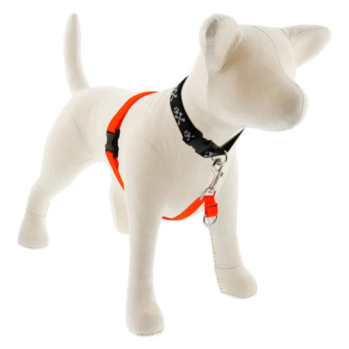 Lupine Pet Dog 1 In Wide 26-38 In No Pull Harness Basics Blaze Orange - Image 1