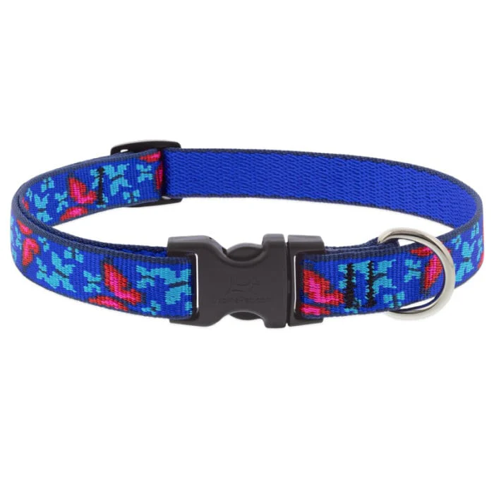 Lupine Pet Dog 2/4 In Wide 9-14 In Adjustable Collar Original Designs Social Butterfly - Image 1