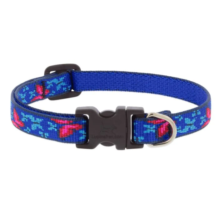 Lupine Pet Dog 3/4 In Wide 13-22 In Adjustible Collar Original Designs Social Butterfly - Image 1