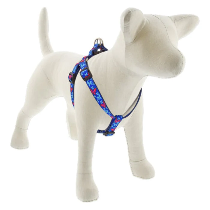 Lupine Pet Dog 3/4 In Wide 15-21 In Step  In Harness Original Designs Social Butterfly - Image 1