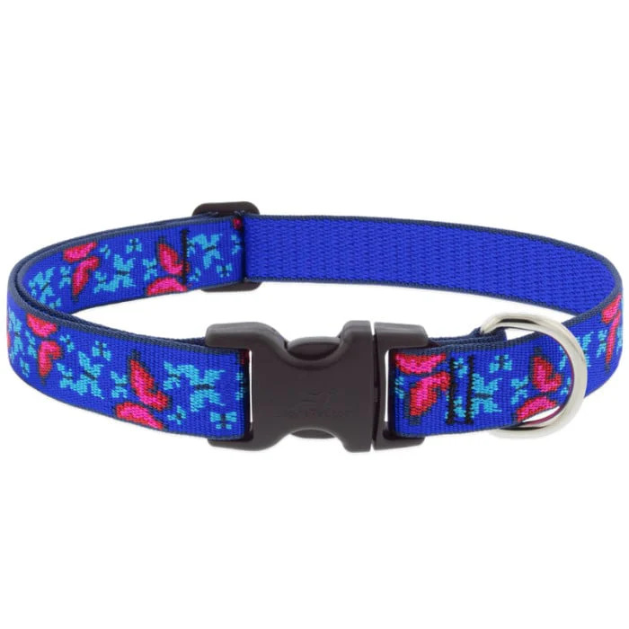 Lupine Pet Dog 1 In Wide 12-20 In Adjustable Collar Original Designs Social Butterfly - Image 1