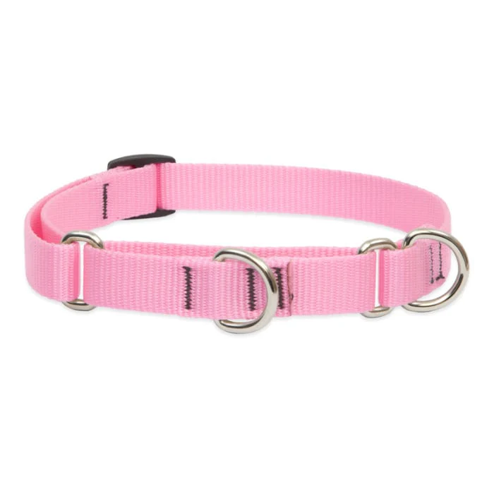 Lupine Pet Dog 3/4 In Wide 10-14 In Martingale Collar Basics Pink - Image 1