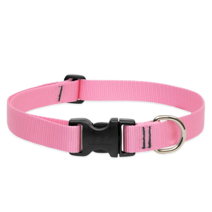 Lupine Pet Dog 1 In Wide 12-20 In Adjustable Collar Basics Pink - Image 1