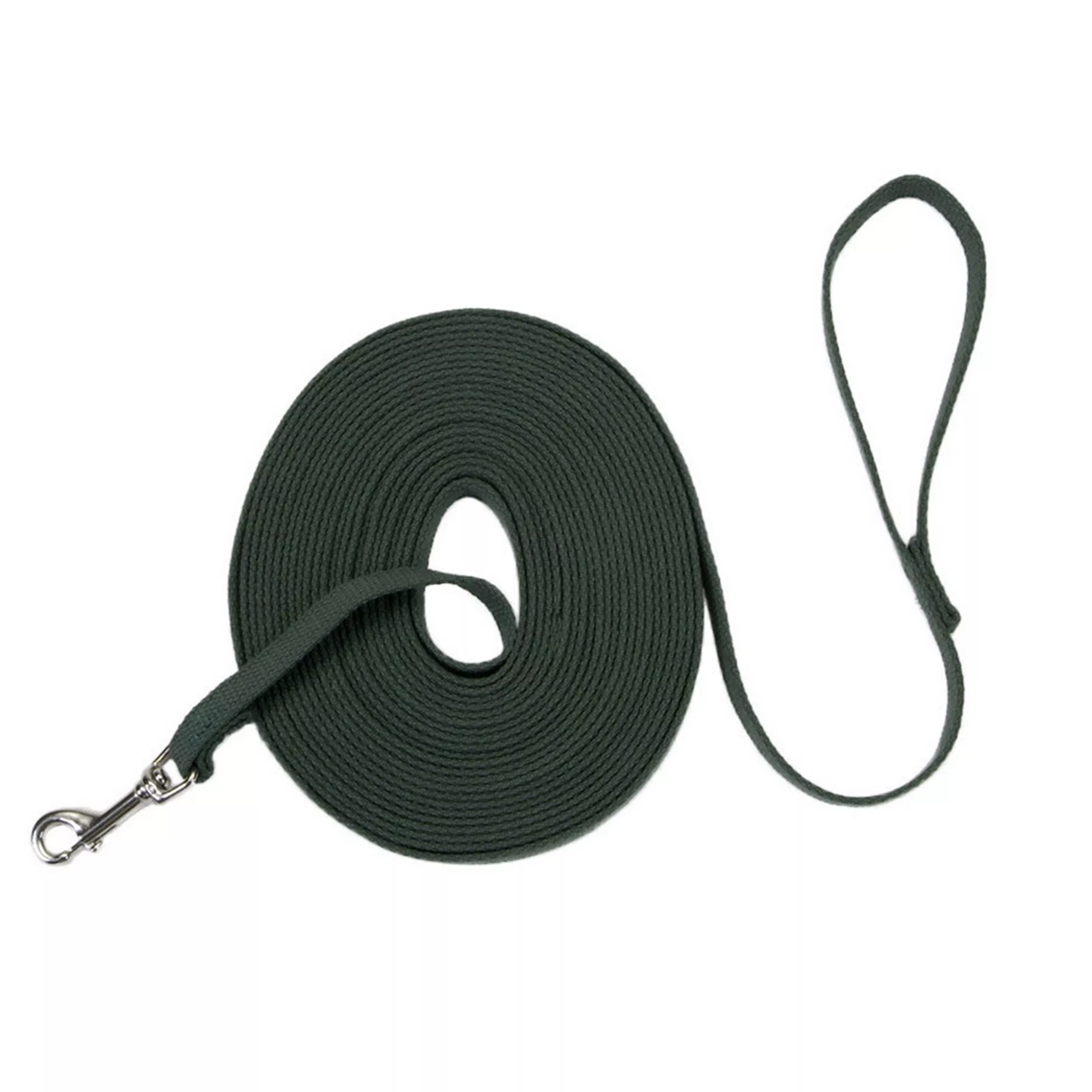 Coastal Train Right 15ft Long 5/8in Cotton Web Dog Leash  Green - Image 1