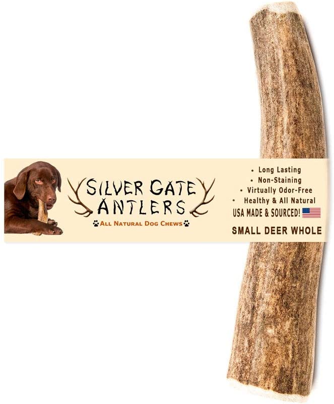 Silvergate Antler Dog Chew Whole Deer Small - Image 1