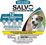 Salvo Flea & Tick Prevention Collar for Small Dogs, 12 Month Protection - Image 1