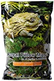 Galapagos Royal Pillow Moss, Fresh Green, 8qt Bag - Image 1