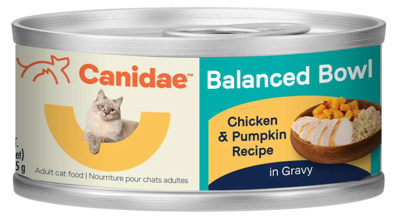 Canidae Balanced Bowl 3oz Chicken Pumpkin - Image 1