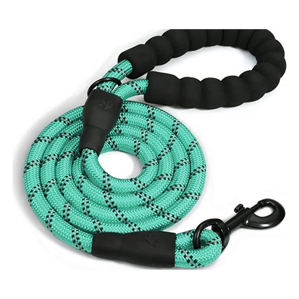 Doggy Tales Braided Dog Leash, 5-ft Turquoise - Image 1