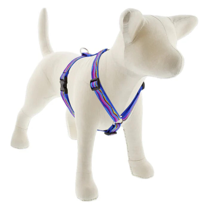 Lupine Pet Dog 3/4 In 20-32 In Roman Harness Original Designs Ripple Creek - Image 1