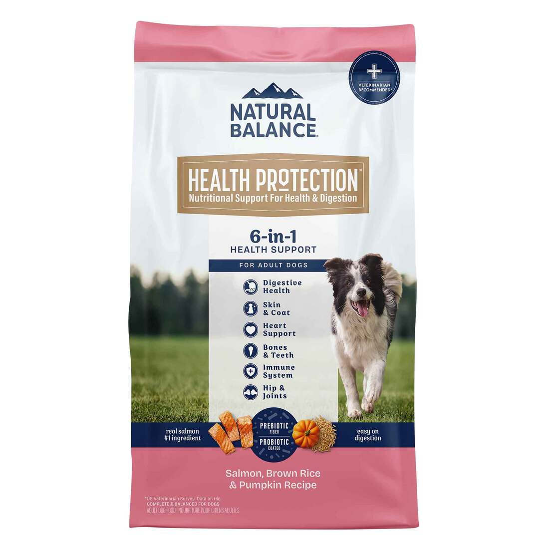Natural Balance Health Protection Dry Dog Food, Salmon, Brown Rice & Pumpkin Recipe, 24lb - Image 1