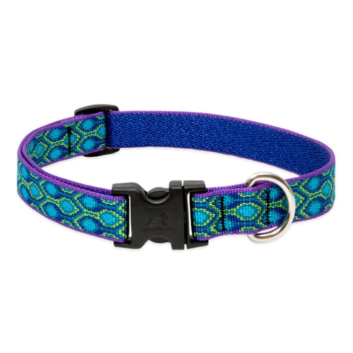 Lupine Pet Dog 3/4 In Wide 15-25 In Adjustable Collar Original Designs Ra In Song - Image 1
