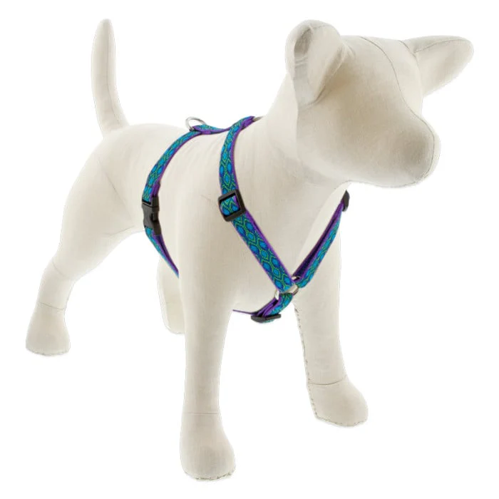 Lupine Pet Dog 3/4 In Wide 12-20 In Roman Harness Original Designs Ra In Song - Image 1