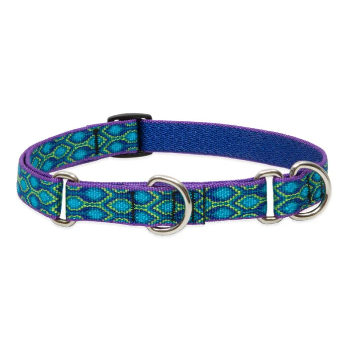 Lupine Pet Dog 3/4 In Wide 10-14 In Martingale Collar Original Designs Ra In Song - Image 1