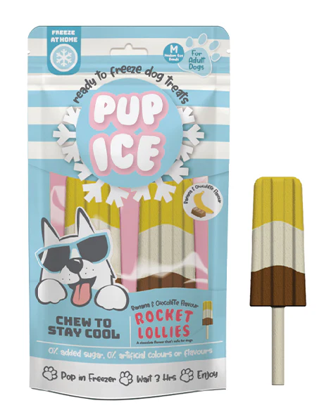 Spot Ethical Pet Dog Treat Pup Ice Rocket Lollies Banana & Chocolate Flavor 3oz - Image 1