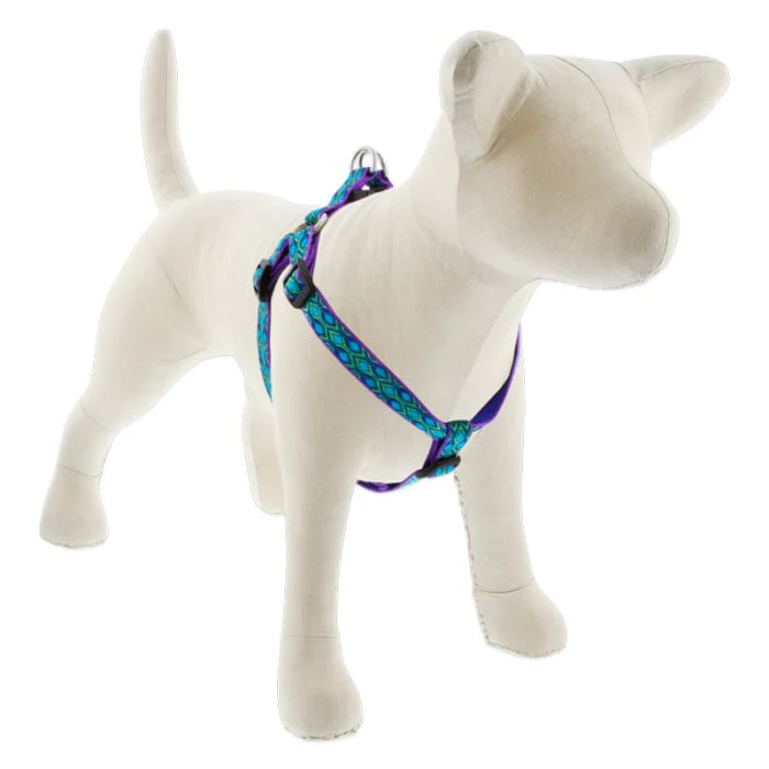 Lupine Pet Dog 3/4 In Wide 20-30 In Step  In Harness Original Designs Ra In Song - Image 1