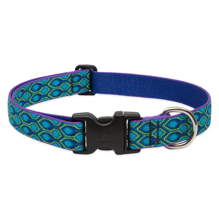 Lupine Pet Dog 1 In Wide 16-28 In Adjustable Collar Original Designs Ra In Song - Image 1