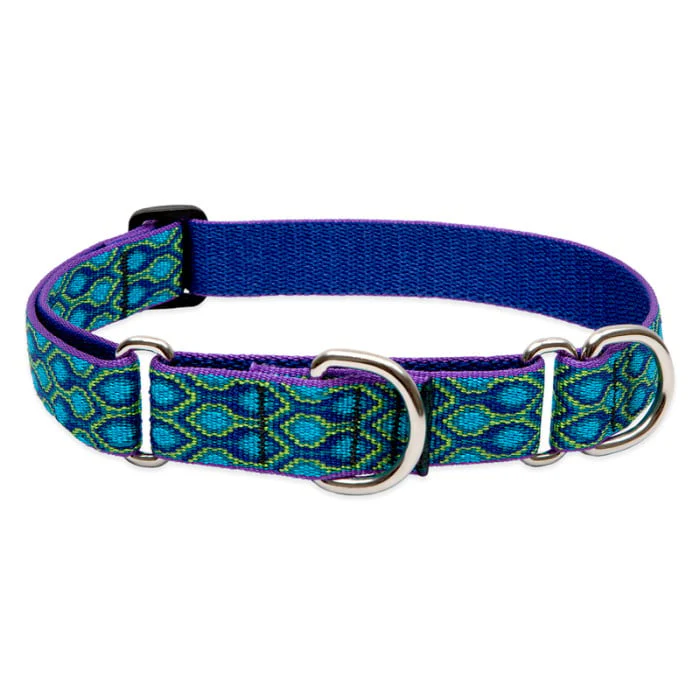 Lupine Pet Dog 1 In Wide 19-27 In Martingale Collar Original Designs Ra In Song - Image 1
