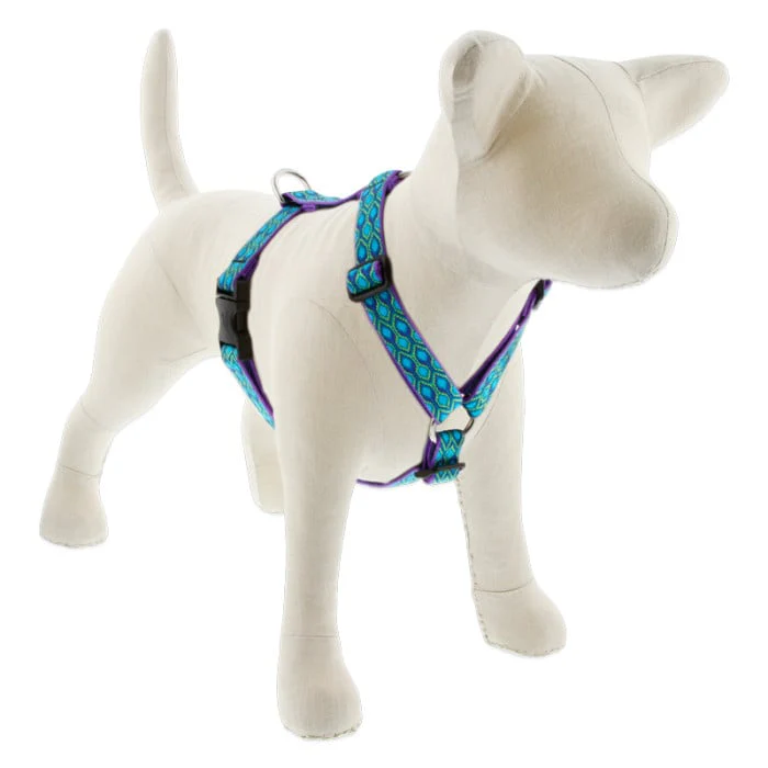 Lupine Pet Dog 1 In 20-32 In Roman Harness Original Designs Ra In Song - Image 1